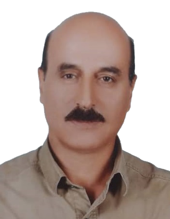 Alternate member of the board