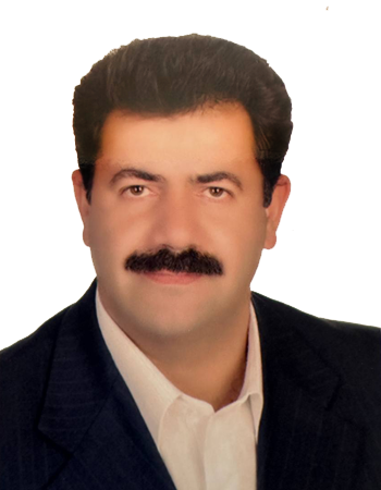 Alternate member of the board